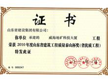 2010年度泰山杯獎(jiǎng)（省優(yōu)質(zhì)工程）